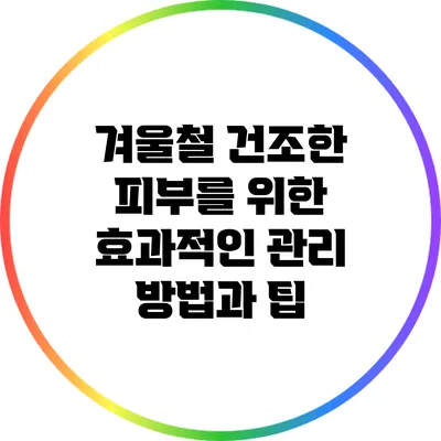 겨울철 건조한 피부를 위한 효과적인 관리 방법과 팁