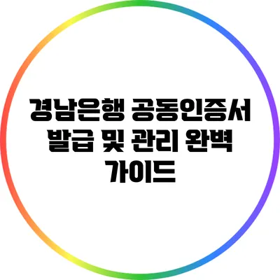 경남은행 공동인증서 발급 및 관리 완벽 가이드