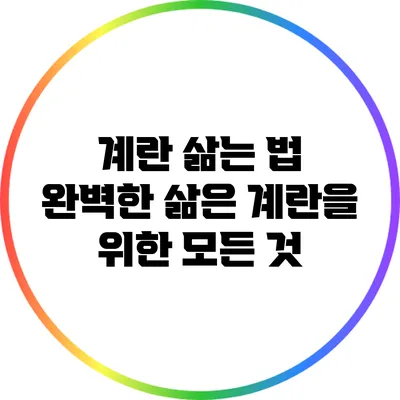계란 삶는 법: 완벽한 삶은 계란을 위한 모든 것