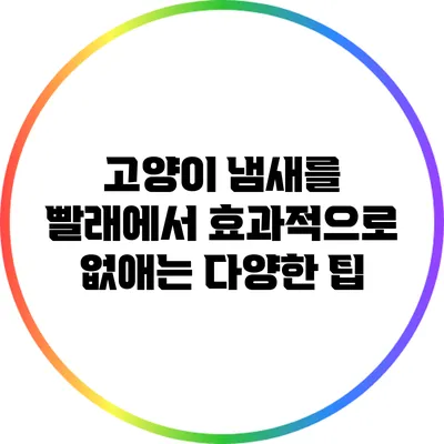 고양이 냄새를 빨래에서 효과적으로 없애는 다양한 팁