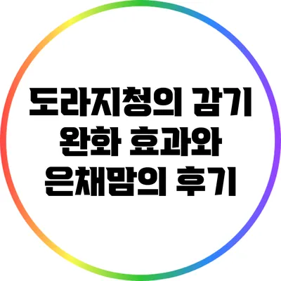 도라지청의 감기 완화 효과와 은채맘의 후기