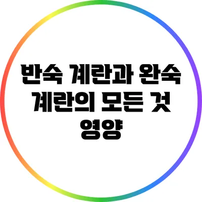 반숙 계란과 완숙 계란의 모든 것: 영양