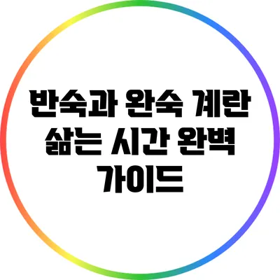 반숙과 완숙 계란 삶는 시간 완벽 가이드