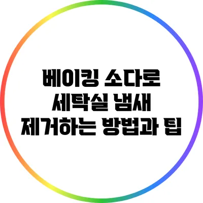 베이킹 소다로 세탁실 냄새 제거하는 방법과 팁
