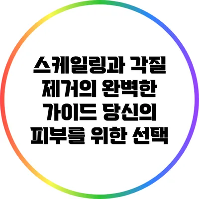 스케일링과 각질 제거의 완벽한 가이드: 당신의 피부를 위한 선택