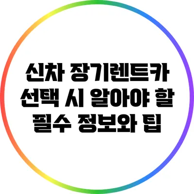 신차 장기렌트카 선택 시 알아야 할 필수 정보와 팁