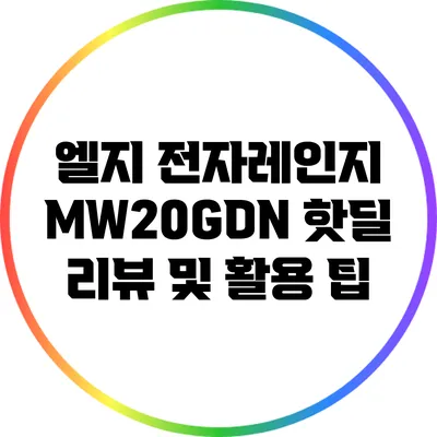 엘지 전자레인지 MW20GDN 핫딜 리뷰 및 활용 팁