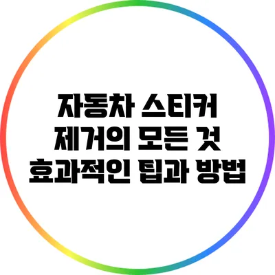 자동차 스티커 제거의 모든 것: 효과적인 팁과 방법