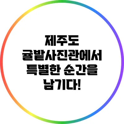 제주도 귤밭사진관에서 특별한 순간을 남기다!