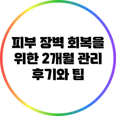 피부 장벽 회복을 위한 2개월 관리 후기와 팁