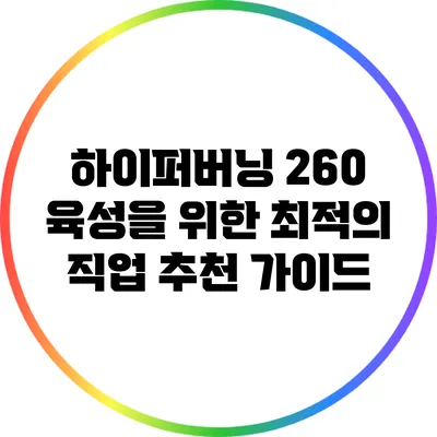 하이퍼버닝 260 육성을 위한 최적의 직업 추천 가이드