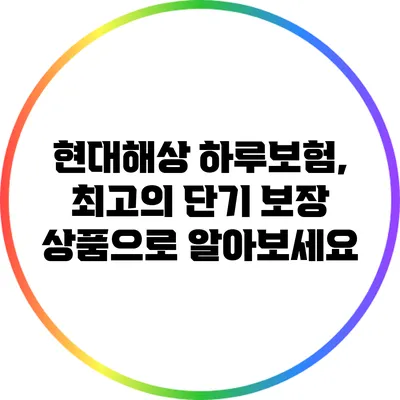 현대해상 하루보험, 최고의 단기 보장 상품으로 알아보세요