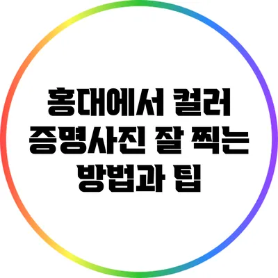 홍대에서 컬러 증명사진 잘 찍는 방법과 팁