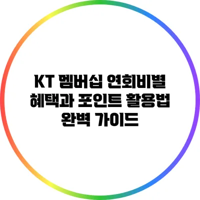 KT 멤버십 연회비별 혜택과 포인트 활용법 완벽 가이드