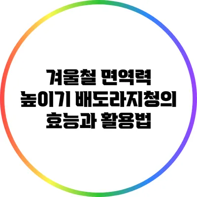 겨울철 면역력 높이기: 배도라지청의 효능과 활용법