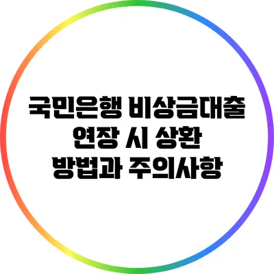 국민은행 비상금대출 연장 시 상환 방법과 주의사항