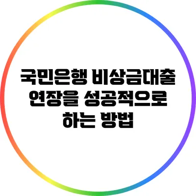 국민은행 비상금대출 연장을 성공적으로 하는 방법