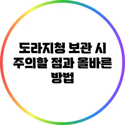 도라지청 보관 시 주의할 점과 올바른 방법