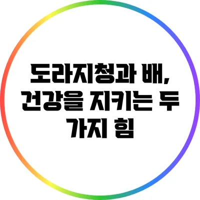 도라지청과 배, 건강을 지키는 두 가지 힘