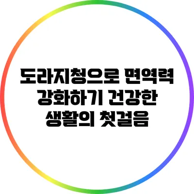 도라지청으로 면역력 강화하기: 건강한 생활의 첫걸음