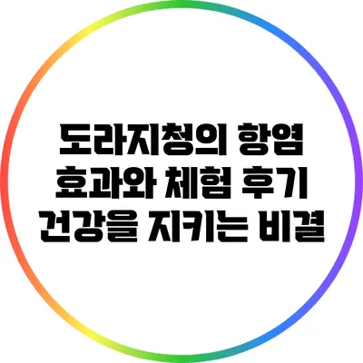 도라지청의 항염 효과와 체험 후기: 건강을 지키는 비결