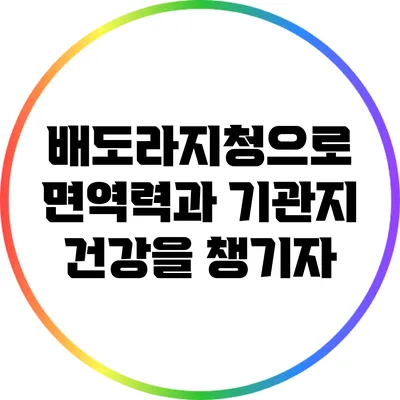 배도라지청으로 면역력과 기관지 건강을 챙기자