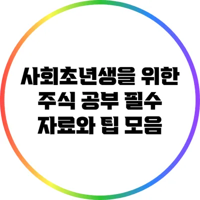 사회초년생을 위한 주식 공부: 필수 자료와 팁 모음
