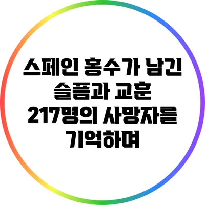 스페인 홍수가 남긴 슬픔과 교훈: 217명의 사망자를 기억하며