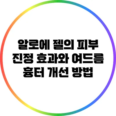 알로에 젤의 피부 진정 효과와 여드름 흉터 개선 방법