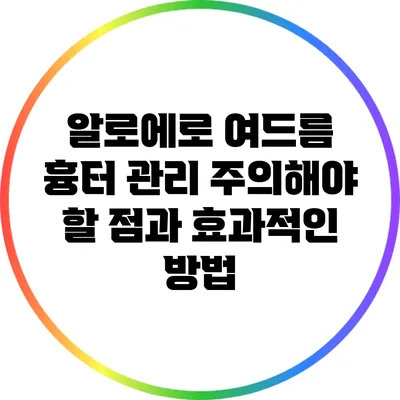 알로에로 여드름 흉터 관리: 주의해야 할 점과 효과적인 방법