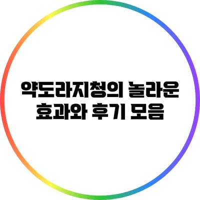 약도라지청의 놀라운 효과와 후기 모음