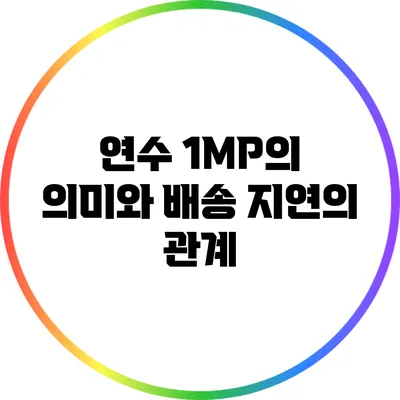 연수 1MP의 의미와 배송 지연의 관계
