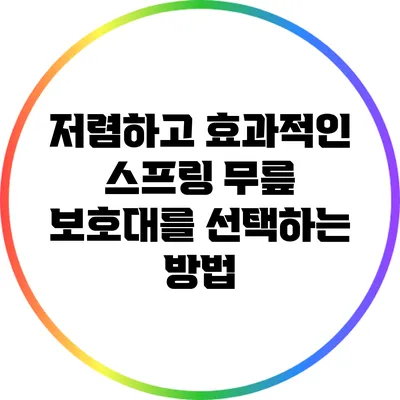 저렴하고 효과적인 스프링 무릎 보호대를 선택하는 방법
