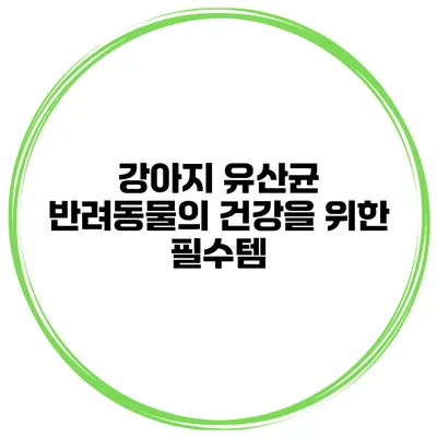강아지 유산균 반려동물의 건강을 위한 필수템