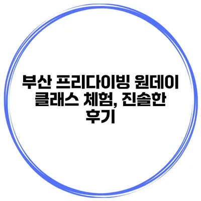 부산 프리다이빙 원데이 클래스 체험, 진솔한 후기