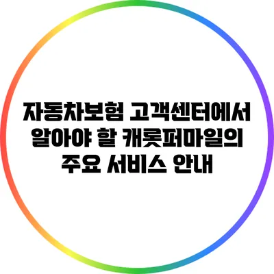 자동차보험 고객센터에서 알아야 할 캐롯퍼마일의 주요 서비스 안내